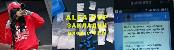 стаф Новодвинск