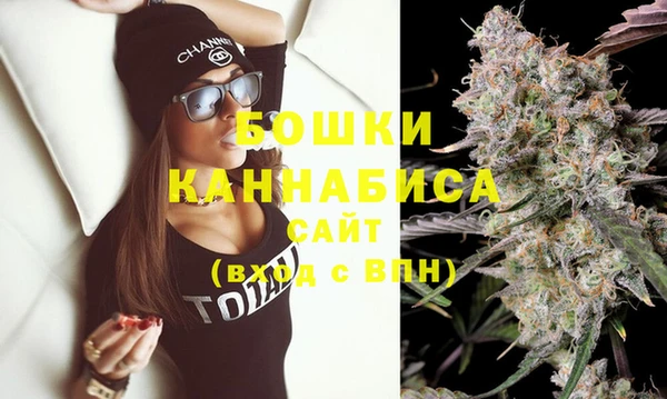 стаф Новодвинск