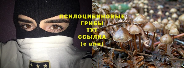 Альфа ПВП Гатчина