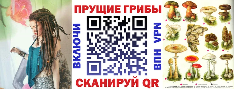 купить наркотики цена Татарск Псилоцибиновые грибы прущие грибы